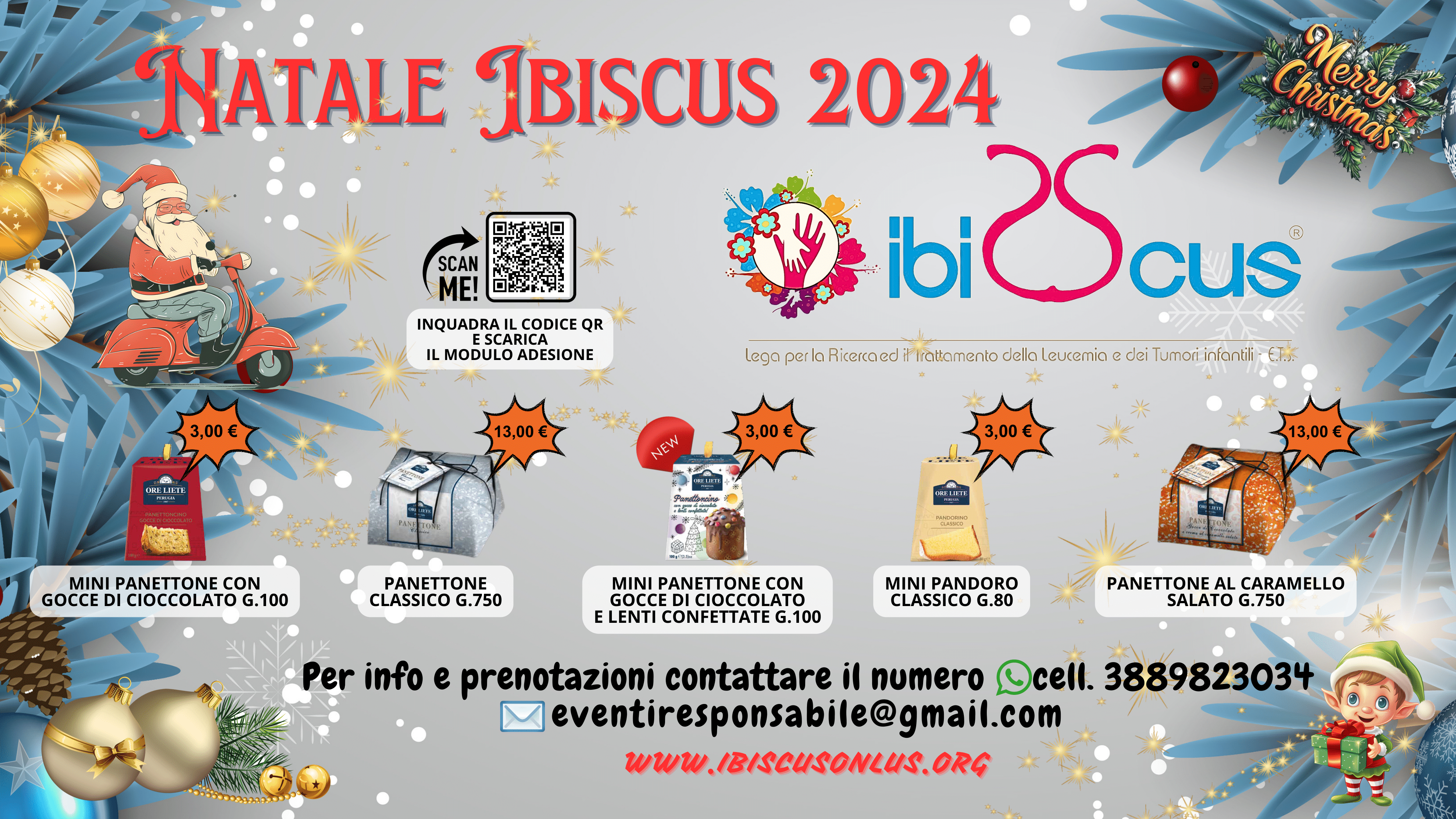 NATALE IBISCUS 2024